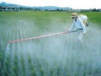 Pesticid 7
