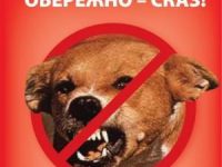 сказ 300x295