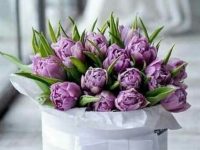 Cce6a73d37d0fb56a8c69b19f09e8b86