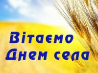Den Sela Berest2019