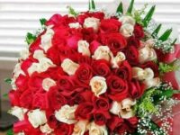 450bf66aff33ed524dbcba47b53c5bd8