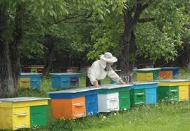 До уваги бджолярів та фермерів!!!!