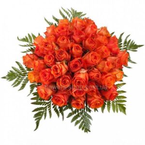 Orange Roses (1)