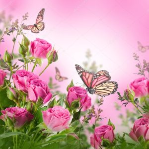 Depositphotos 33685673 Stock Photo Delicate Roses And Butterfly