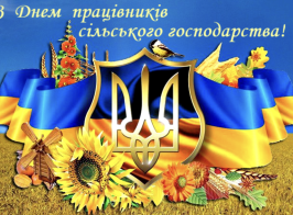 Знімок екрана 2024 11 14 191021