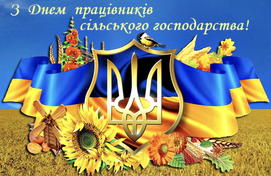 Знімок екрана 2024 11 14 191021