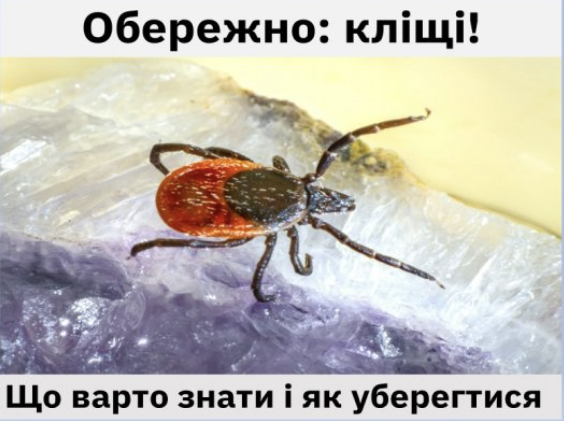 Знімок екрана 2025 03 12 145338