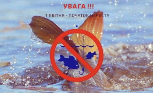 Знімок екрана 2025 03 12 145837