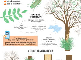 2 вузькозлатка карантинні організми (3)
