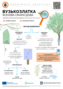 3 вузькозлатка карантинні організми