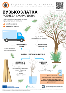 4 вузькозлатка карантинні організми (3)