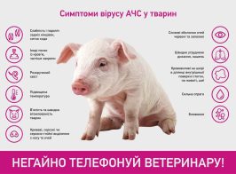 зображення Viber 2025 04 30 11 35 21 633