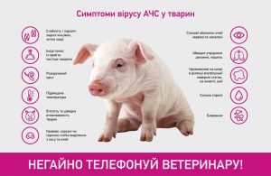 зображення Viber 2025 04 30 11 35 21 633
