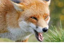 Знімок екрана 2025 10 27 103608