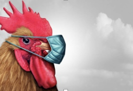 Знімок екрана 2025 11 13 130312