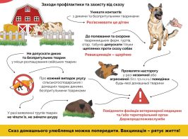 550088484 1076283217993723 2706770330430796502 N