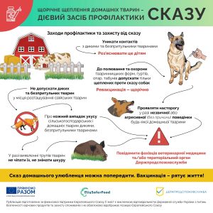 550088484 1076283217993723 2706770330430796502 N