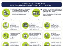 606812204 1160026809619363 8170145554717675361 N