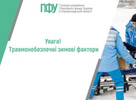 для статті 13