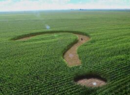 Pytannya Zemlya 266x196 (1)