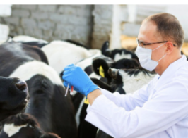 Знімок екрана 2026 01 21 121858