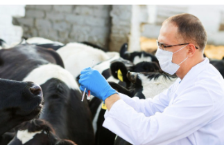 Знімок екрана 2026 01 21 121858