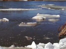 Sho Take Pavodok 870x400