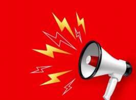 86b2a933 1624 44c0 8165 702f0a4c0f45