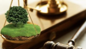 Znimok Ekrana 2024 09 19 144402 1 2