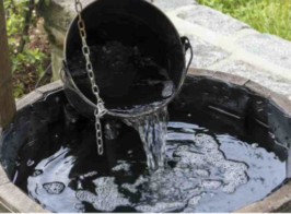 Знімок екрана 2026 03 12 081208