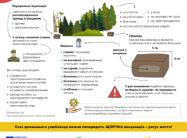 Інфографіка пероральна імуніз (2)
