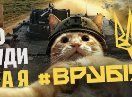 Знімок екрана 2026 08 05 113357